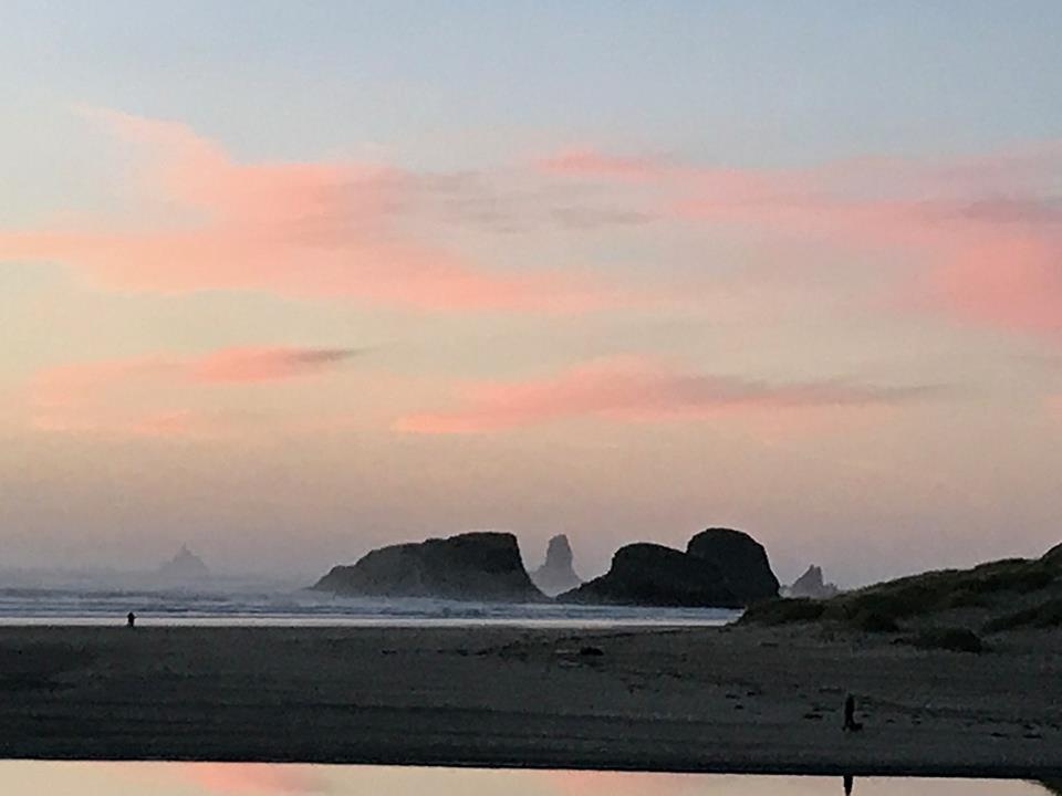 Webb'S Scenic Surf Ξενοδοχείο Cannon Beach Εξωτερικό φωτογραφία